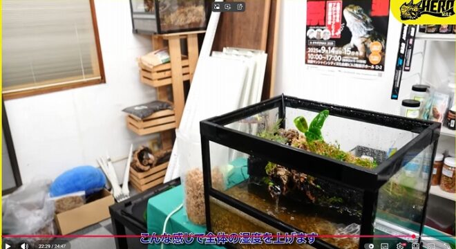 ピンキーポンプセットのご紹介 | 爬虫類倶楽部