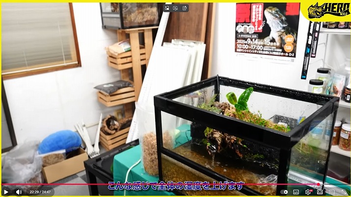 レイアウトケージ・完全版】 | 爬虫類倶楽部